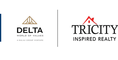 Delta Tricity
